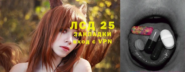 ешки Алексин