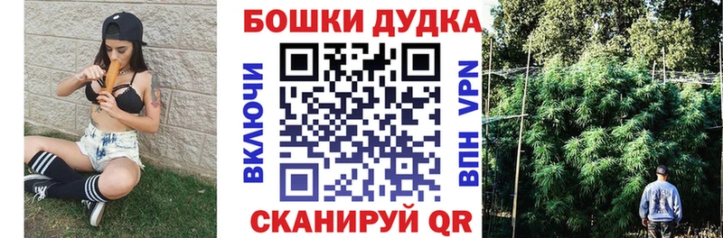 где найти наркотики  МЕГА рабочий сайт  Каннабис индика  Катайск 
